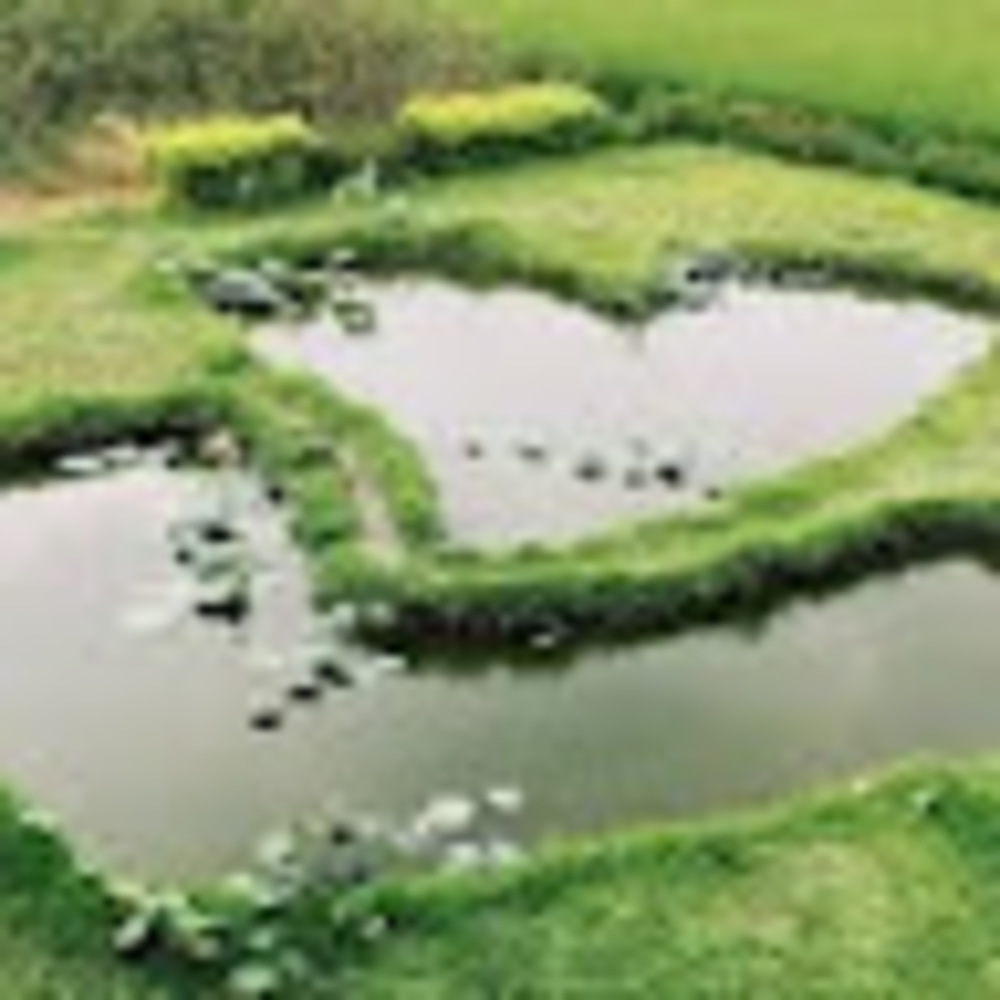 Meet your Posher, Aubrey